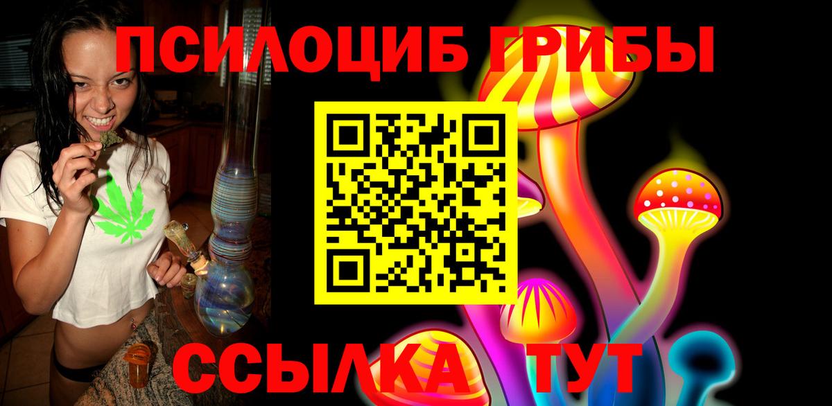 Псилоцибиновые грибы Psilocybine cubensis Углич